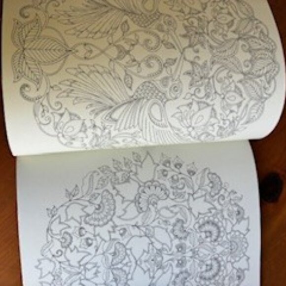 Secret Garden Treasure Hunt and Coloring Book - Picture 6 of 7